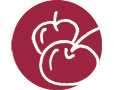 Fruits / Savoury / Flavours - Cherry