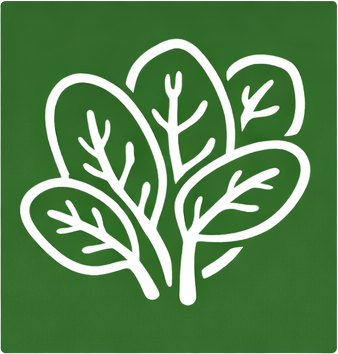 FRUITS/LÉGUMES/SAVEURS - EPINARDS